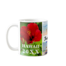 Hawaii Roter Hibiskus 4 Foto Familienname Reise