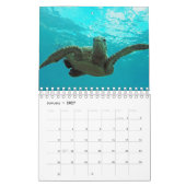Hawaii-Schildkröte-Kalender Kalender (Jan 2027)