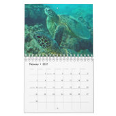Hawaii-Schildkröte-Kalender Kalender (Feb 2027)