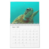 Hawaii-Schildkröte-Kalender Kalender (Mär 2027)