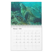 Hawaii-Schildkröte-Kalender Kalender (Feb 2026)