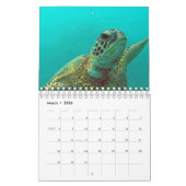 Hawaii-Schildkröte-Kalender Kalender (Mär 2026)