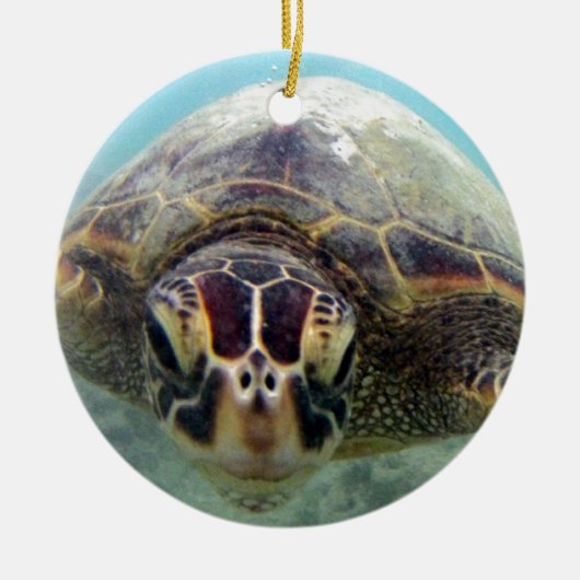 Hawaii-Schildkröte Keramik Ornament (Vorne)