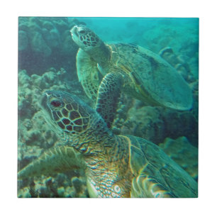 Hawaii-Schildkröten Fliese