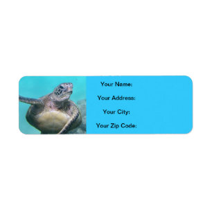 Hawaii-Schildkröten - Honu