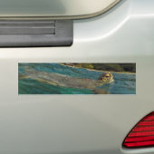 Hawaii-Schildkröten - Honu Autoaufkleber (Auf Auto)