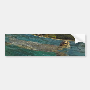 Hawaii-Schildkröten - Honu Autoaufkleber