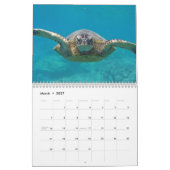 Hawaii-Schildkröten Kalender (Mär 2027)
