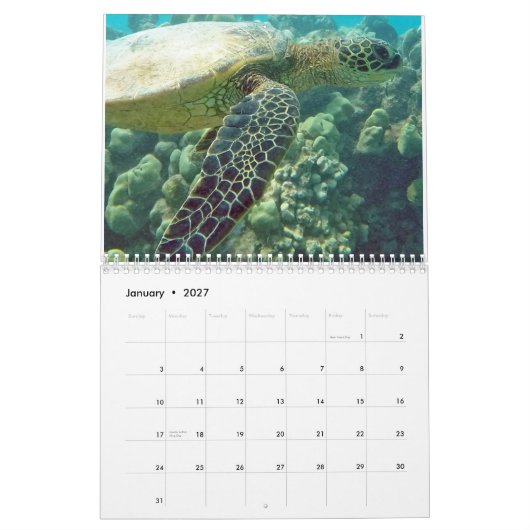 Hawaii-Schildkröten Kalender (Jan 2027)
