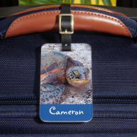 Hawaii Sea Turtle Honu Foto Individuelle Name Scri
