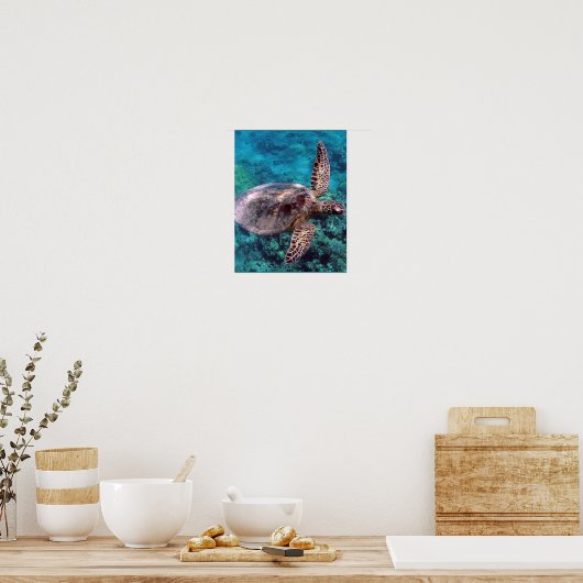 Hawaii Sea Turtle Poster (Küche)