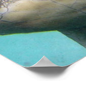 Hawaii Sea Turtle Poster (Ecke)