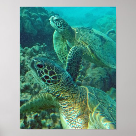 Hawaii Sea Turtle Poster (Vorne)