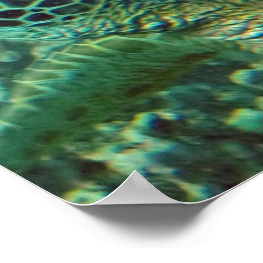 Hawaii Sea Turtle Poster (Ecke)