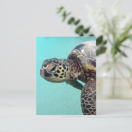 Hawaii Sea Turtle Postkarte (Stehend Vorderseite)