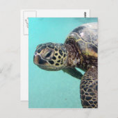Hawaii Sea Turtle Postkarte (Vorne/Hinten)