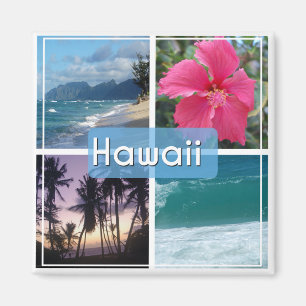 Hawaii Seascape Magnet