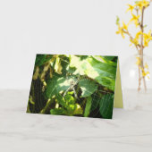 Hawaii Spinnennetzkarte Karte (Gelbe Blume)