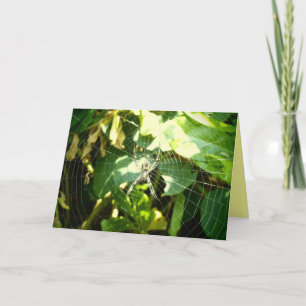 Hawaii Spinnennetzkarte Karte