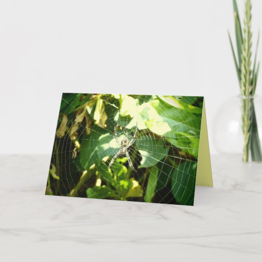 Hawaii Spinnennetzkarte Karte (Vorderseite)