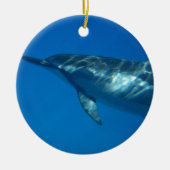 Hawaii Spinner Dolphin Keramik Ornament (Vorne)