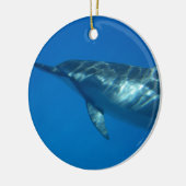 Hawaii Spinner Dolphin Keramik Ornament (Links)