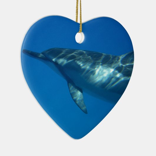 Hawaii Spinner Dolphin Keramik Ornament (Rechts)
