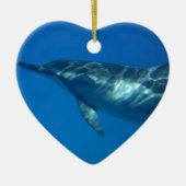 Hawaii Spinner Dolphin Keramik Ornament (Vorne)