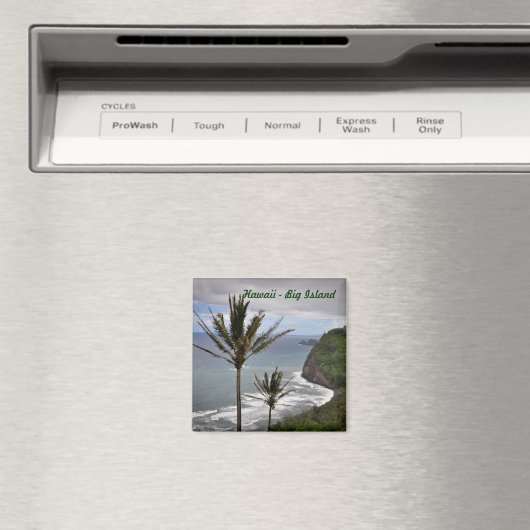 Hawaii Square Magnet (In Situ (Geschirrspüler))