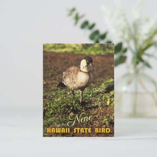 Hawaii Staat Bird - Nene oder Hawaiian Goose Postkarte (Stehend Vorderseite)