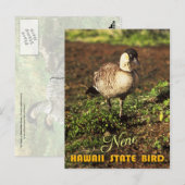 Hawaii Staat Bird - Nene oder Hawaiian Goose Postkarte (Vorne/Hinten)