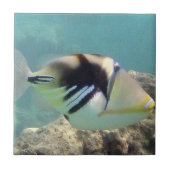 Hawaii Staat Fish - Humuhumunukunukuapua'a Fliese (Vorderseite)