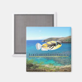 Hawaii Staat Fish - Humuhumunukunukuapua'a. Magnet (Vorderseite/Rückseite)