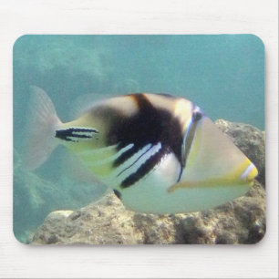 Hawaii Staat Fish - Humuhumunukunukuapua'a Mousepad