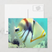 Hawaii Staat Fish - Humuhumunukunukuapua'a Postkarte (Vorne/Hinten)
