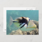 Hawaii Staat Fish - Humuhumunukunukuapua'a Postkarte (Vorne/Hinten)