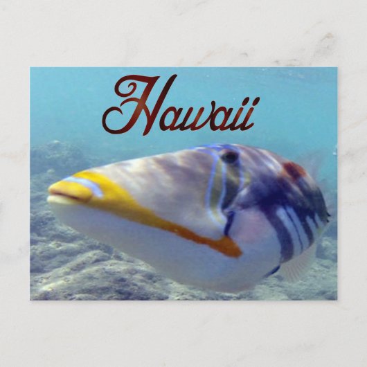 Hawaii Staat Fish - Humuhumunukunukuapua'a Postkarte (Vorderseite)