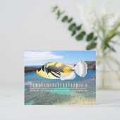 Hawaii Staat Fish - Humuhumunukunukuapua'a Postkarte (Stehend Vorderseite)