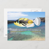 Hawaii Staat Fish - Humuhumunukunukuapua'a Postkarte (Vorne/Hinten)