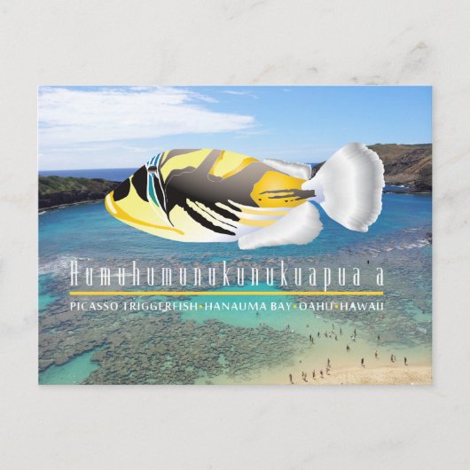 Hawaii Staat Fish - Humuhumunukunukuapua'a Postkarte (Vorderseite)