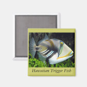 Hawaii-Staat Magnet (Vorderseite/Rückseite)