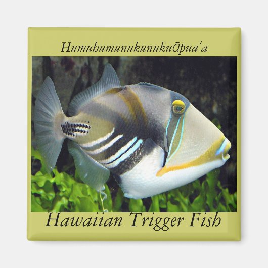 Hawaii-Staat Magnet (Vorne)