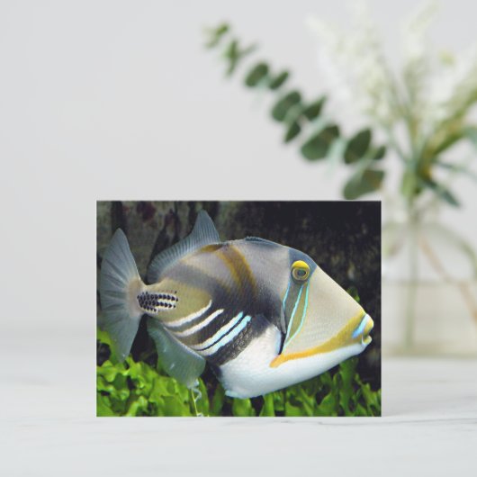 Hawaii-Staat Postkarte (Stehend Vorderseite)