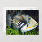 Hawaii-Staat Postkarte (Vorne/Hinten)