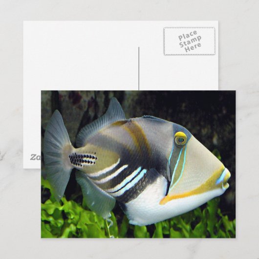 Hawaii-Staat Postkarte (Vorne/Hinten)