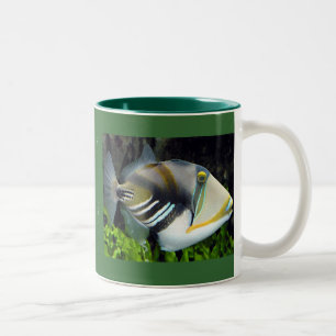Hawaii-Staat Zweifarbige Tasse