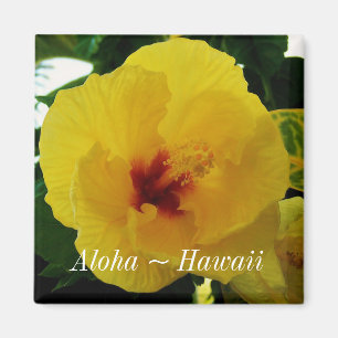 Hawaii-Staats-Blumen-Gelb-Hibiskus Magnet