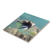 Hawaii-Staats-Fische - Humuhumunukunukuapua'a Fliese (Seite)