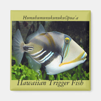 Hawaii Staatsfisch Magnet