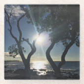 Hawaii Sunlit Trees Ocean Shore Color Fotografie Glasuntersetzer (Vorderseite)